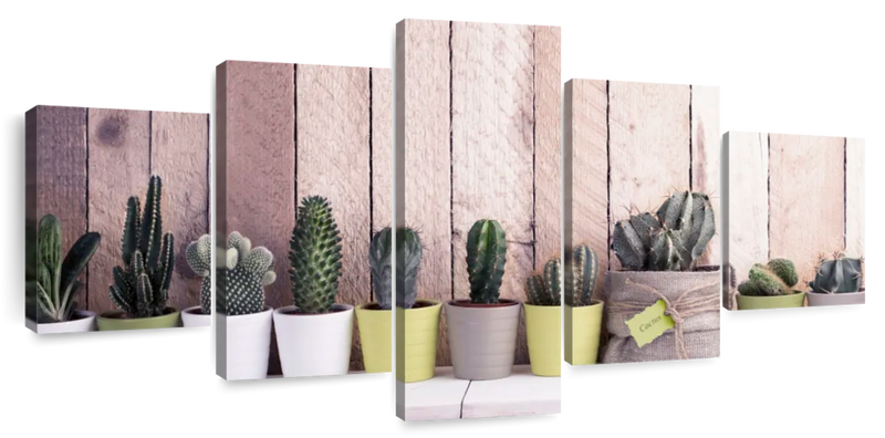 succulent plant holder wall Succulent Plant Pots Latitude Run Size: 42" H x 92" W