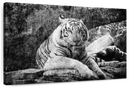 Textured White Tiger Wall Art