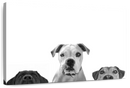 Curious Dogs Wall Art