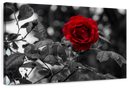 Lone Rose Pop Wall Art