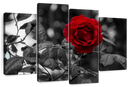 Lone Rose Pop Wall Art