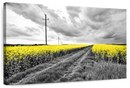 Pop Yellow Flower Field Wall Art