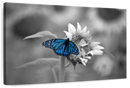 Butterfly Pop Wall Art