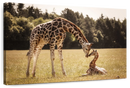 Loving Giraffes Wall Art