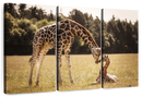 Loving Giraffes Wall Art