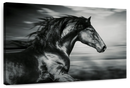 Thoroughbred Wall Art