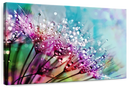 Colorful Dew Wall Art