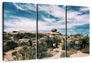 Cactus Desert Wall Art