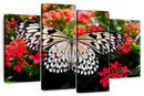 Pretty Butterfly Wall Art