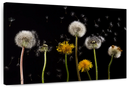 Dandelion In The Wind Wall Art
