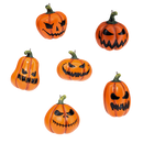 Pumpkin Patch