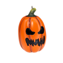 Pumpkin Patch