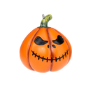 Pumpkin Patch