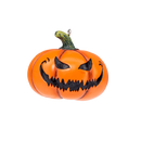 Pumpkin Patch