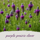 Pollinator Wildflower Bundle | Tall & Short Mini Mixes | Prairie Legacy Inc.