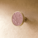Pyient Knob & Pull Bar