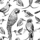 Black and White Birds Wallpaper