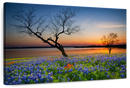 Texas Sunset Wall Art