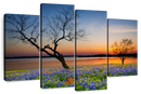 Texas Sunset Wall Art