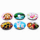 Set of 6 Bunnies, Hummingbird, Cats Easter Theme Fridge Magnets