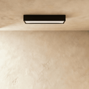 Quinn Track Light System