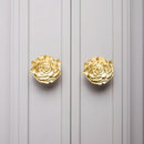 Qvavi Knob