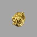 Qvavi Knob