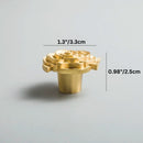 Qvavi Knob