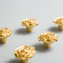 Qvavi Knob