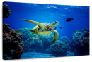 Glowing Turtle Wall Art