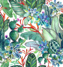 Succulents and Cactus Wallpaper