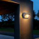 Radis Outdoor Wall Lamp