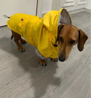 Yellow City Slicker