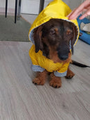 Yellow City Slicker