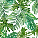 Rainforest Style Wallpaper