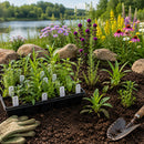Rain Garden Live Plant Landscape Kit | Prairie Legacy Inc.