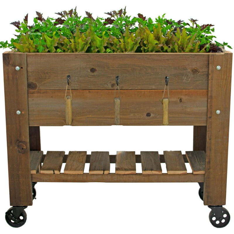 Raised Bed Planter Box on Casters