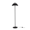 Rayal Floor Lamp