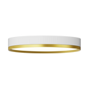 Rayhil INOVA 12" 18W Surface Mount Selectable CCT