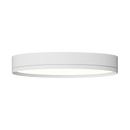 Rayhil INOVA 12" 18W Surface Mount Selectable CCT