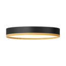Rayhil INOVA 9" 15W Surface Mount Selectable CCT