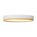 Rayhil INOVA 9" 15W Surface Mount Selectable CCT