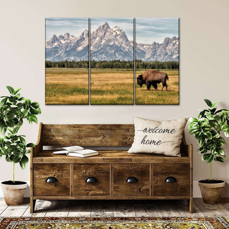 Bull Bison In Grand Teton Wall Art