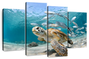Curacao Fish And Turtle Wall Art