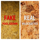 Raw gold Sea moss - Pure Jamaican Sea moss - Wholesale
