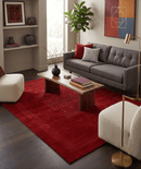 Red Center Pattern Hand Loomed Wool Area Rug