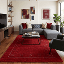 Red Gabbeh Border Design Hand Loomed Wool Area Rug