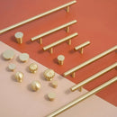 Reka Knob & Pull Bar