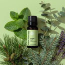 Respir Aid Essential Oil Blend
