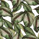 Retro Banana Leaves Wallpaper